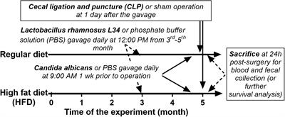 Candida Administration Worsens Cecal Ligation and Puncture-Induced Sepsis in Obese Mice Through Gut Dysbiosis Enhanced Systemic Inflammation, Impact of Pathogen-Associated Molecules From Gut Translocation and Saturated Fatty Acid